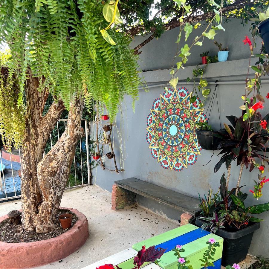 Casa Jardim Hostel Bh - Santa Efigenia - Paraiso Белу-Оризонті Екстер'єр фото